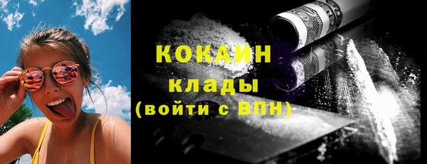 стаф Аркадак