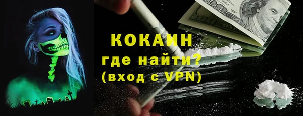 стаф Аркадак