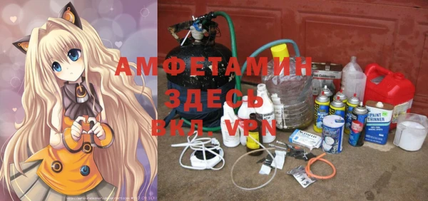 стаф Аркадак