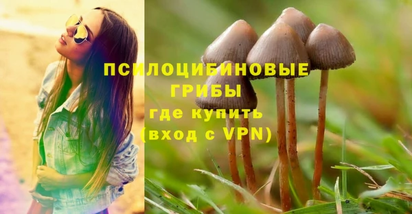экстази Арсеньев