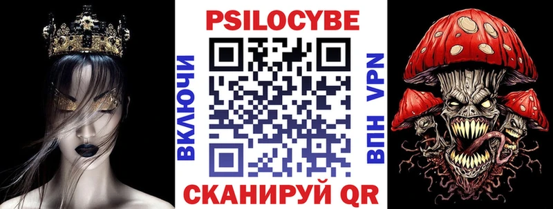Псилоцибиновые грибы GOLDEN TEACHER  магазин продажи   kraken   Красный Холм 